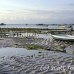 farming_seaweed_nlem_h_0573_bal3863.jpg